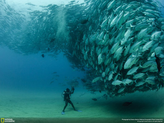 Fotografía National Geographic: David and Goliath