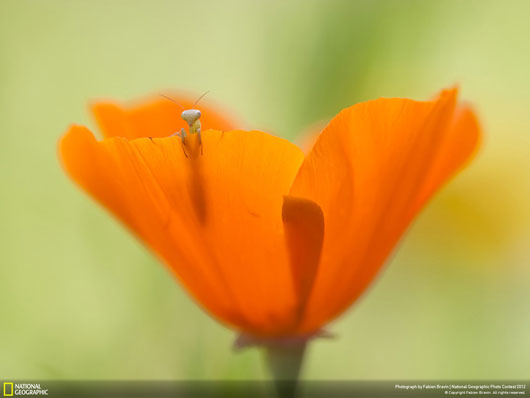 Fotografía National Geographic: Hello World