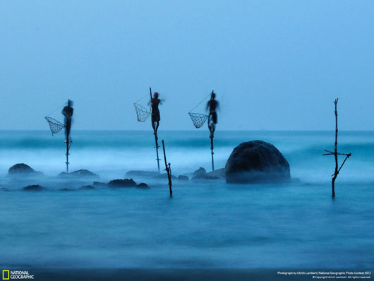 Fotografía National Geographic: Stilt Fishing