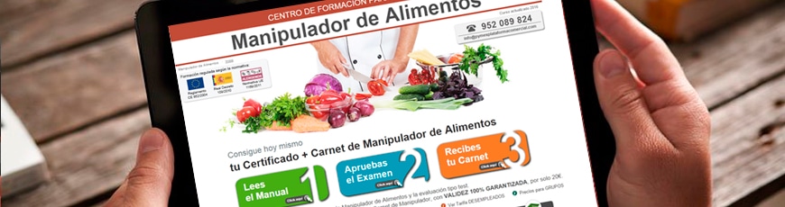 Manipulador de Alimentos:  Nueva Web