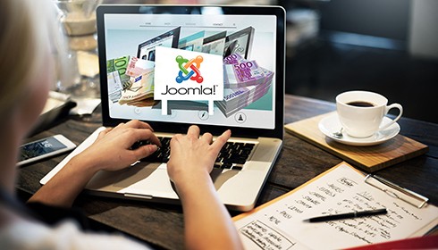 DESARROLLO DE PÁGINAS WEB CON JOOMLA 2.5