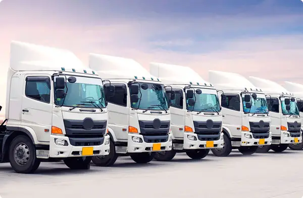 Sector Transportes